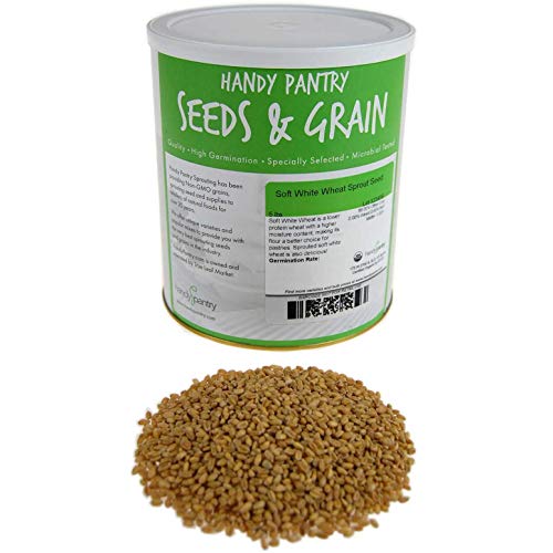 Soft White Wheat - Organic - 5 Lbs. Resealable Can - Handy Pantry Brand - Perfect for Food Storage, Flour, Baking, Sprouting & More