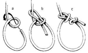 bowline knot, top knots