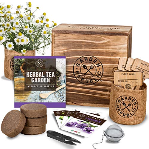 Indoor Herb Garden Seed Starter Kit - Herbal Tea Growing Kits, Grow Medicinal Herbs Indoors, Lavender, Chamomile, Lemon Balm, Mint Seeds for Planting, Soil, Plant Markers, Pots, Infuser, Planter Box