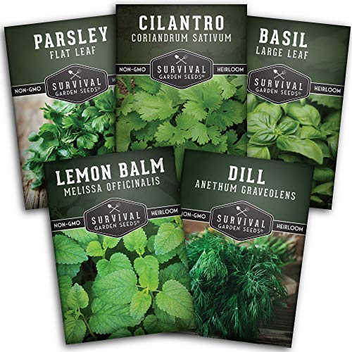 Survival Garden Seeds Herb Collection Seed Vault - Parsley, Cilantro, Basil, Lemon Balm, Dill - Non-GMO Heirloom Survival Garden Seeds for Planting - Grow Herbs Indoors Year Round