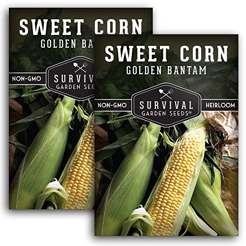 Survival Garden Seeds - Golden Bantam Sweet Corn Seed for Planting - 2 Packets with Instructions to Plant and Grow in Your Home Vegetable Garden - Non-GMO Heirloom Variety, calorie crops